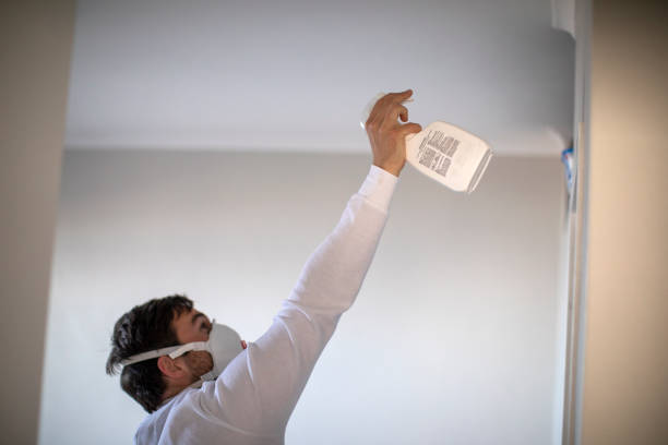 Best Post-Flood Mold Remediation in Alma, NE